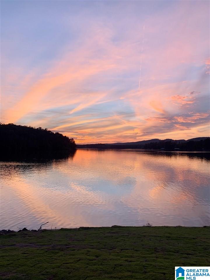 1313 Waldrop Road Ashville, AL 35953 - Photo 3 of 7