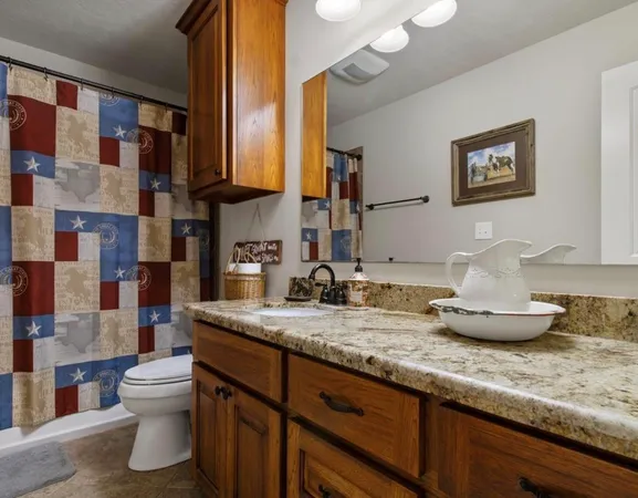 a bathroom with a granite countertop sink a toilet and a large mirror