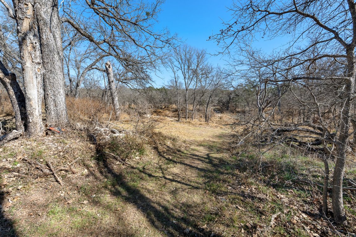 145 River Road Liberty Hill, TX 78642 - Photo 16 of 27 View of undeveloped land
