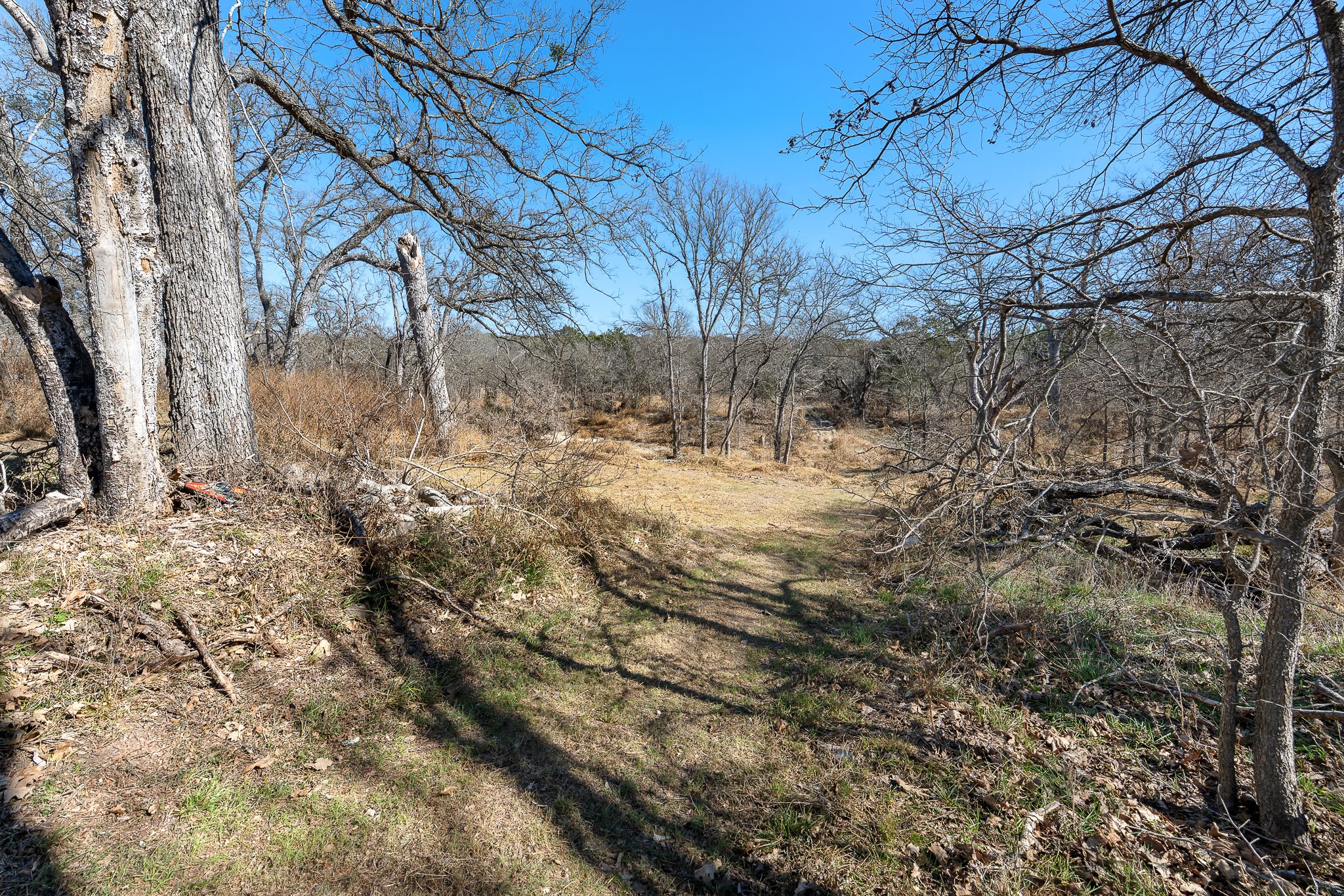 145 River Road Liberty Hill, TX 78642 - Photo 16 of 27 a view of yard covered with snow in outdoor