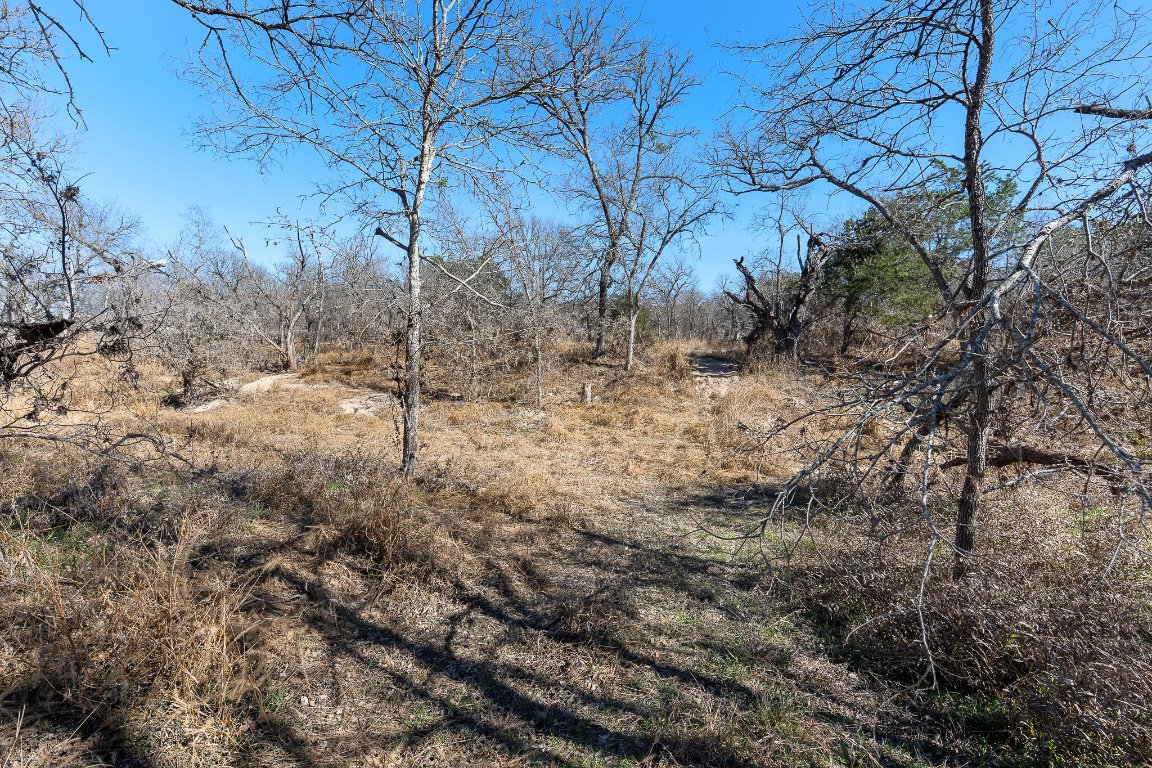 145 River Road Liberty Hill, TX 78642 - Photo 18 of 27 View of undeveloped land