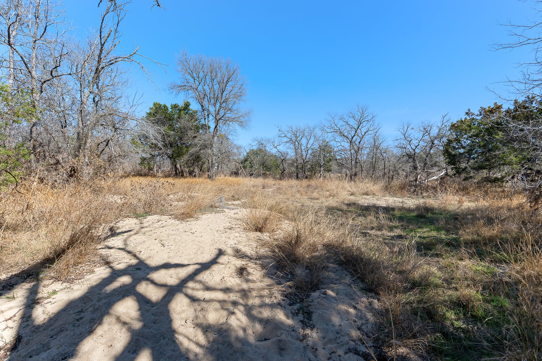 145 River Road Liberty Hill, TX 78642 - Photo 19 of 27 a view of dirt field with trees