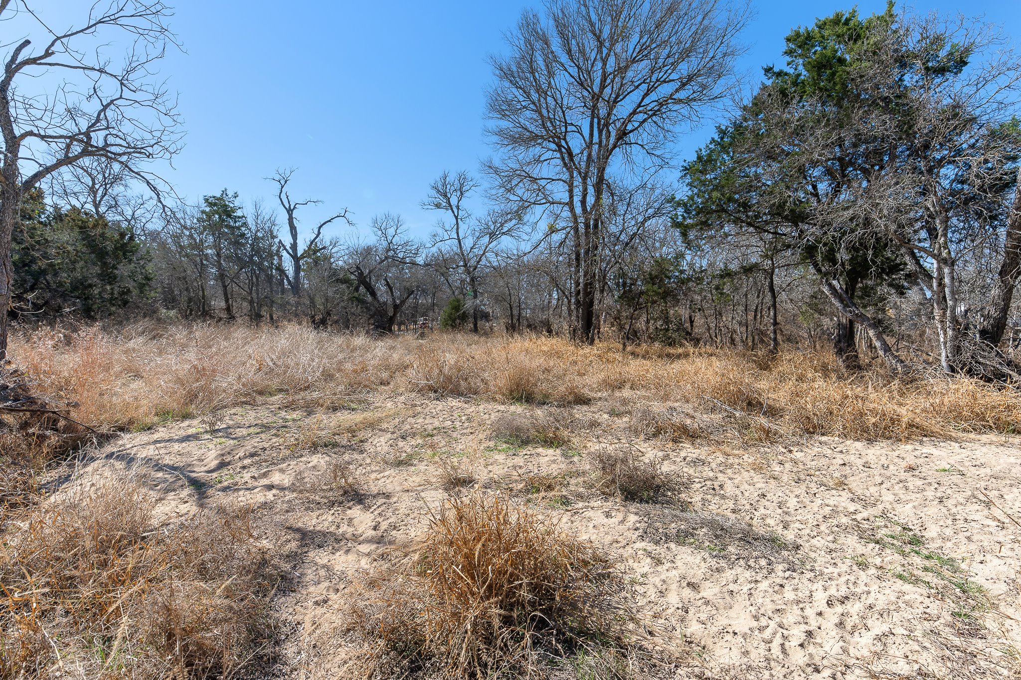 145 River Road Liberty Hill, TX 78642 - Photo 20 of 27 a view of a dry yard