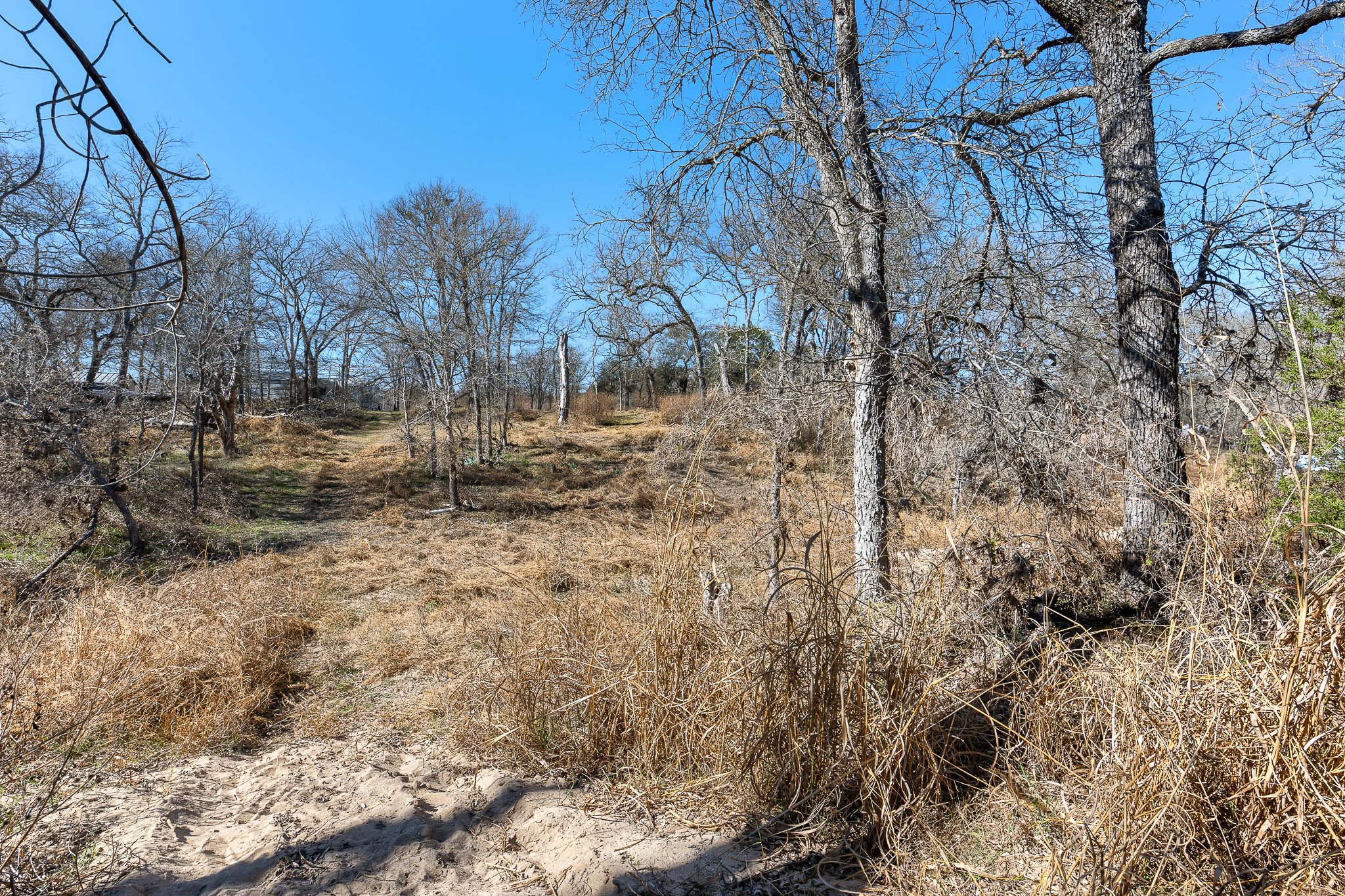 145 River Road Liberty Hill, TX 78642 - Photo 21 of 27 a view of a yard with trees