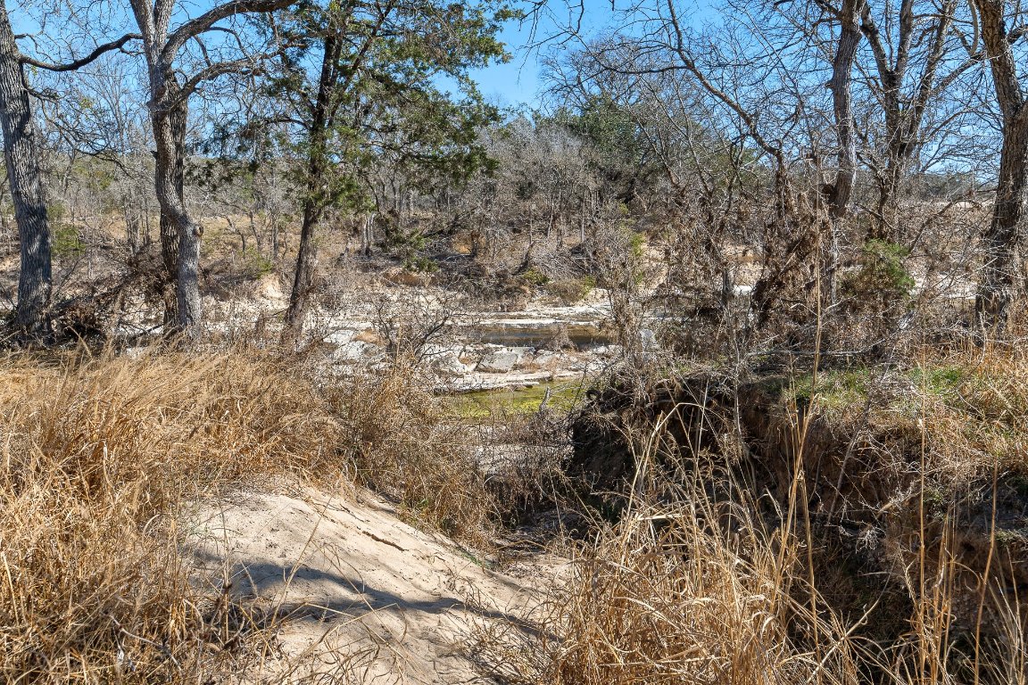145 River Road Liberty Hill, TX 78642 - Photo 22 of 27 View of woods
