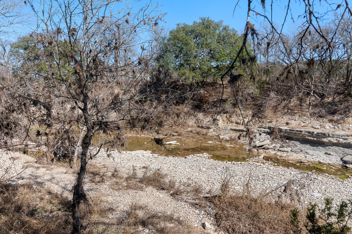 145 River Road Liberty Hill, TX 78642 - Photo 23 of 27 View of wooded area