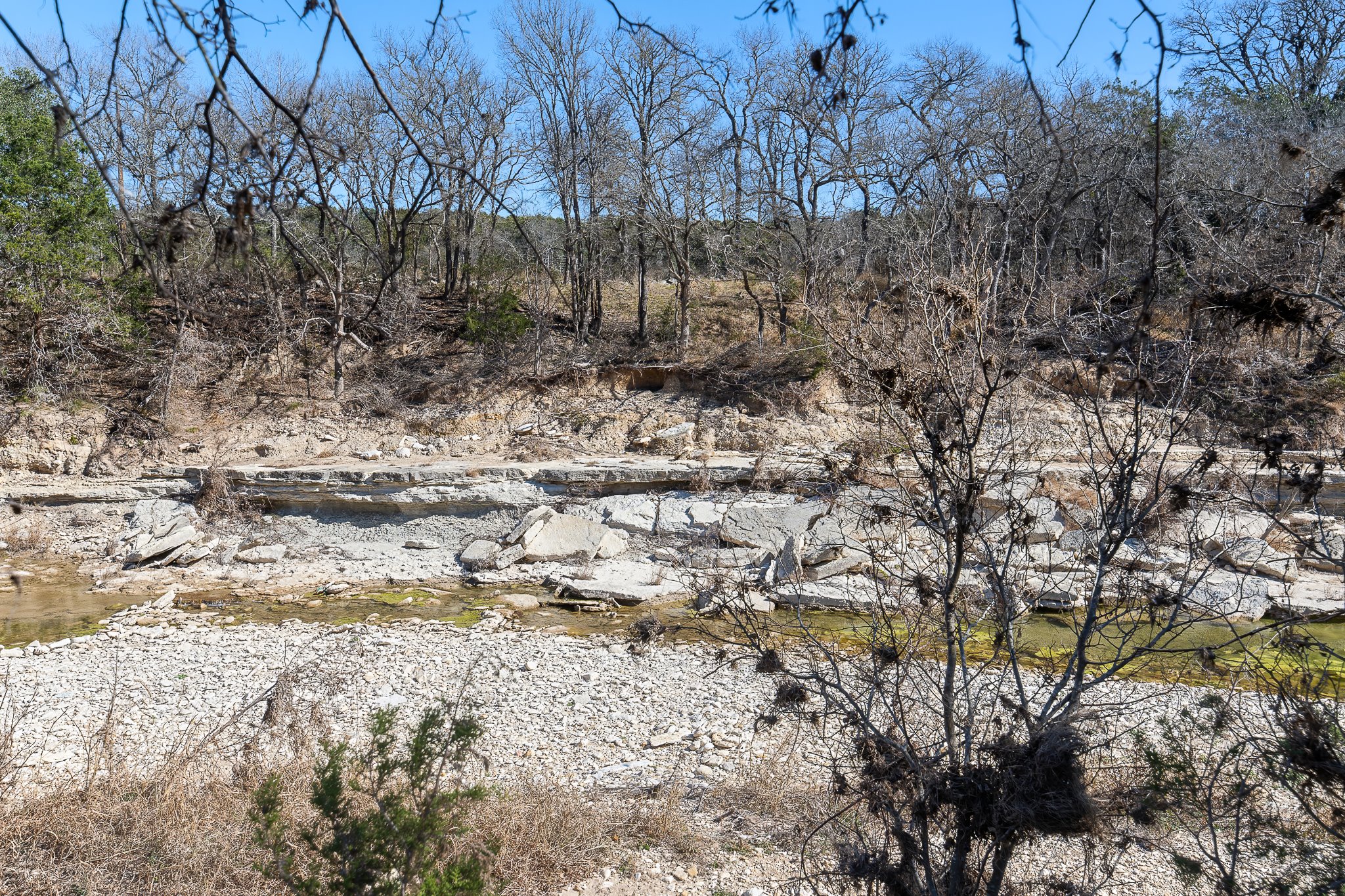 145 River Road Liberty Hill, TX 78642 - Photo 24 of 27 a view of a yard with a tree