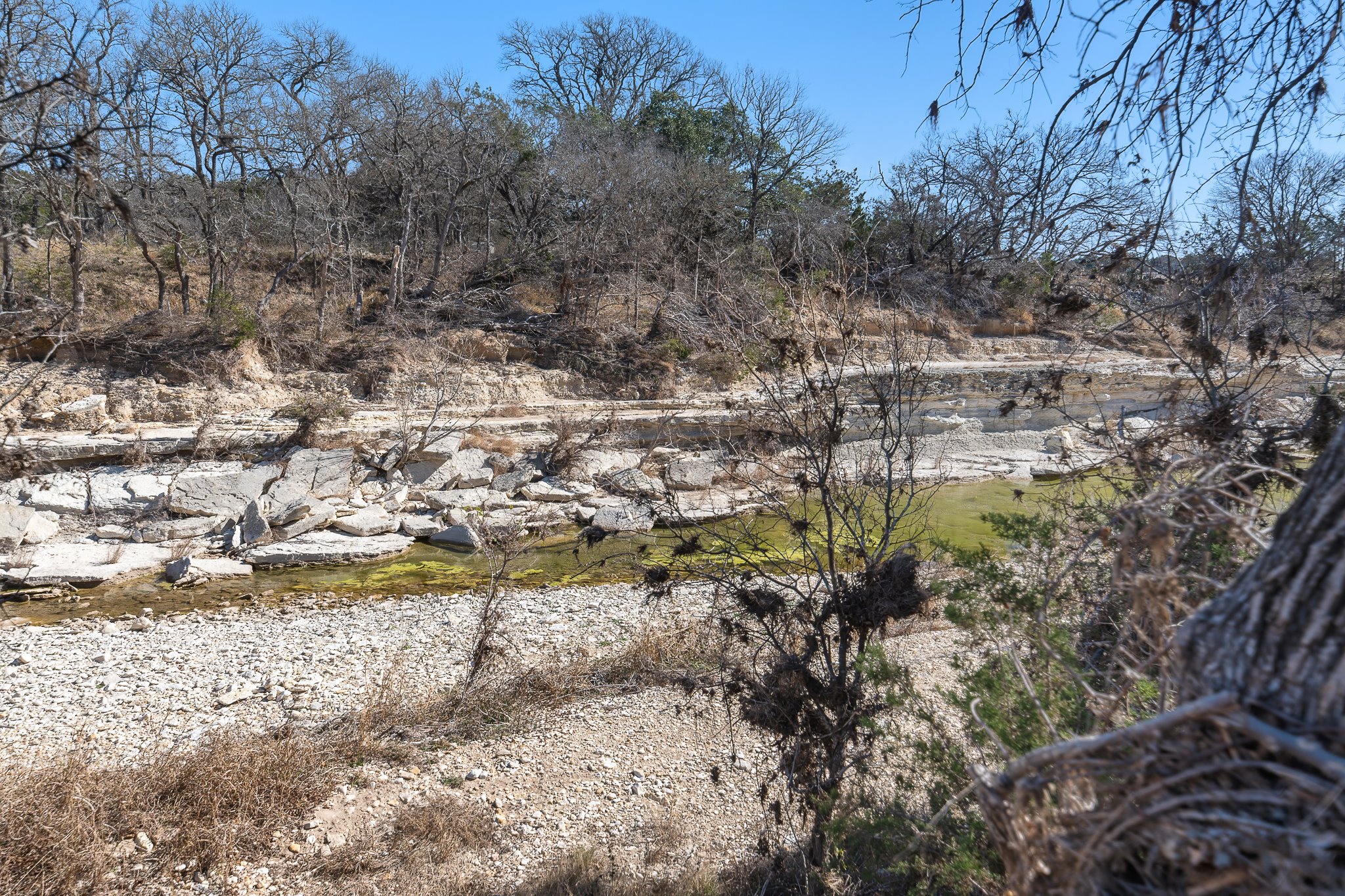 145 River Road Liberty Hill, TX 78642 - Photo 25 of 27 a view of a yard with a tree