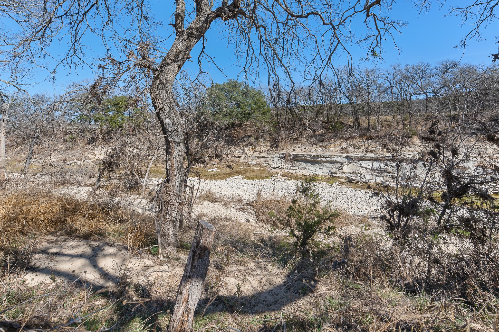 145 River Road Liberty Hill, TX 78642 - Photo 26 of 27 a view of a yard with lots of bushes