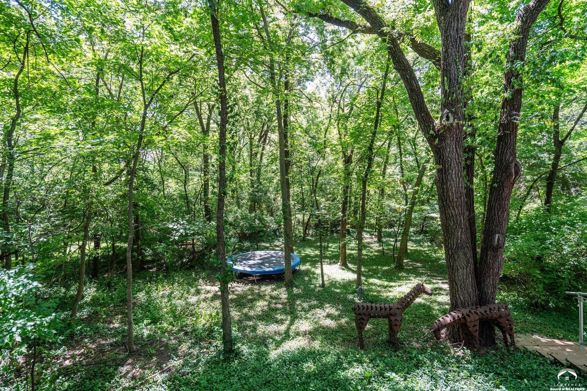 1321 Raintree Place Lawrence, KS 66044 - Photo 70 of 80