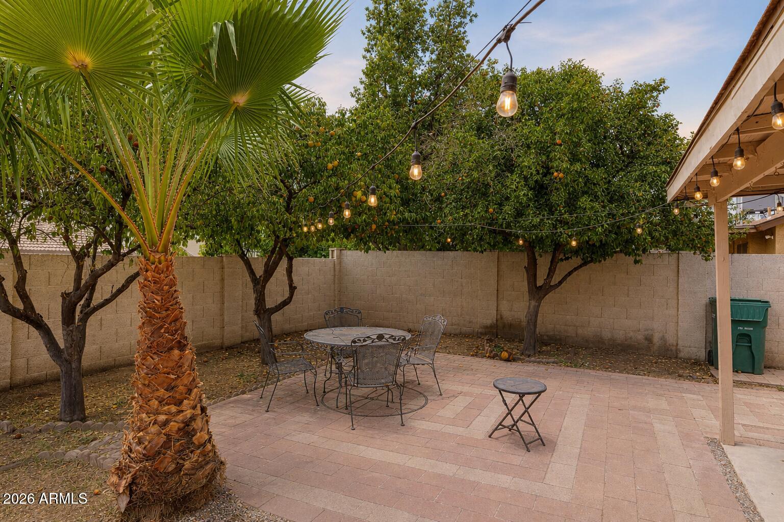 2624 North Ricardo Mesa, AZ 85215 - Photo 20 of 23