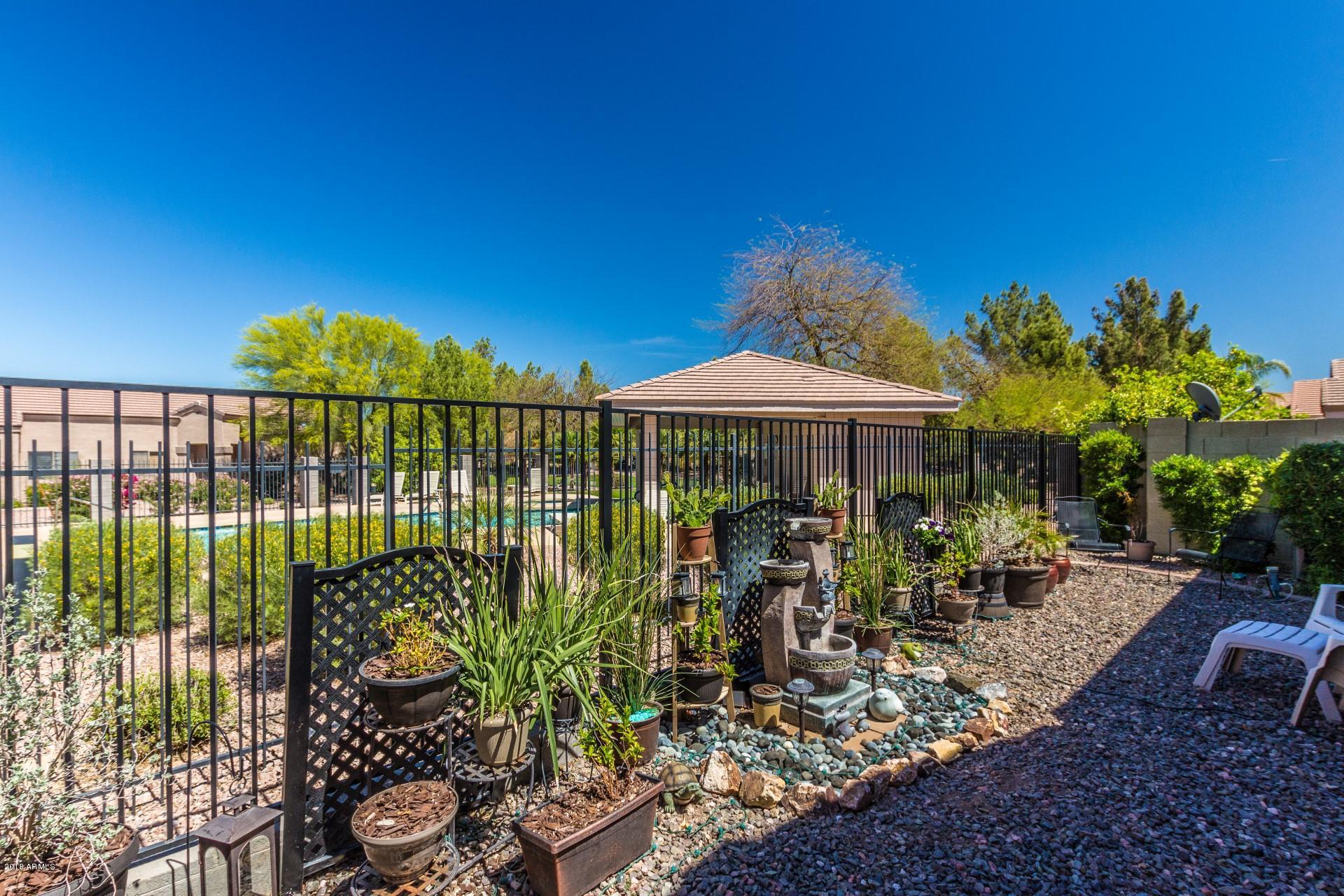 3218 East Fremont Road Phoenix, AZ 85042 - Photo 24 of 30 Back patio