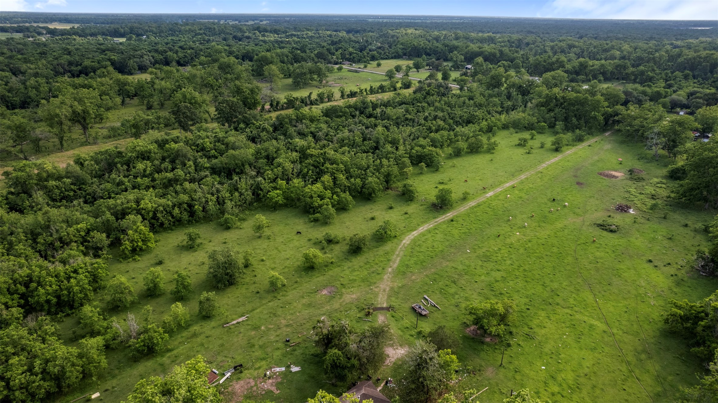 6202 County Road 42 Rosharon, TX 77583 - Photo 5 of 8