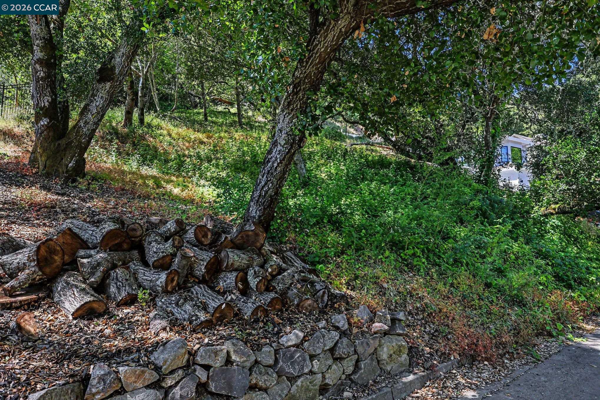 46 Oak Road Orinda, CA 94563 - Photo 4 of 15 Gallery Image 4