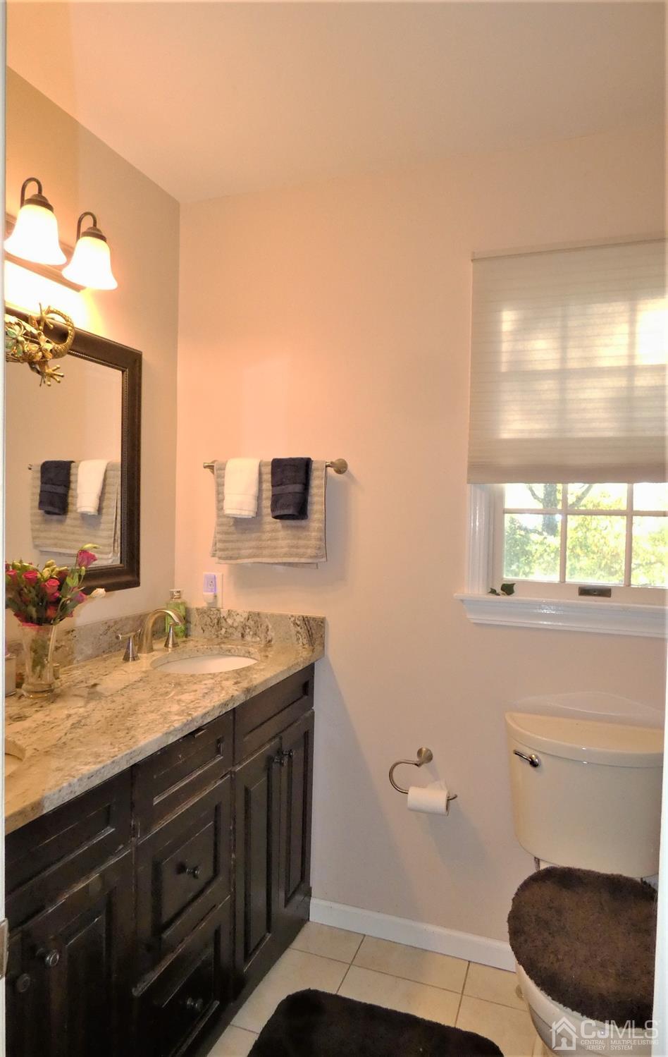 14 Apple Tree Road Flemington, NJ 08822 - Photo 19 of 33 a bathroom with a granite countertop sink a toilet and a mirror