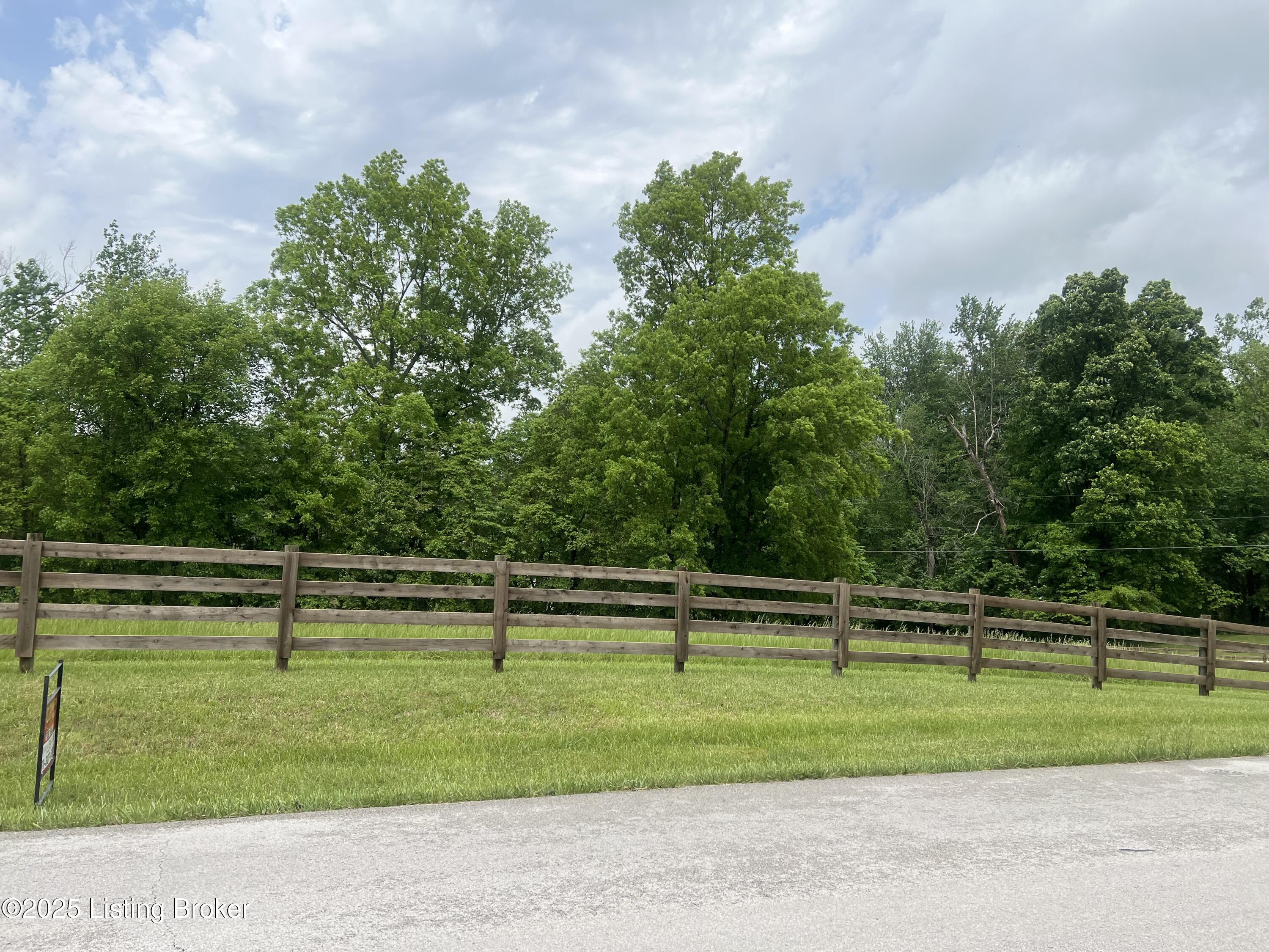 Lot 2 Overall Phillips Road Elizabethtown, KY 42701 - Photo 2 of 3 IMG_9622 D