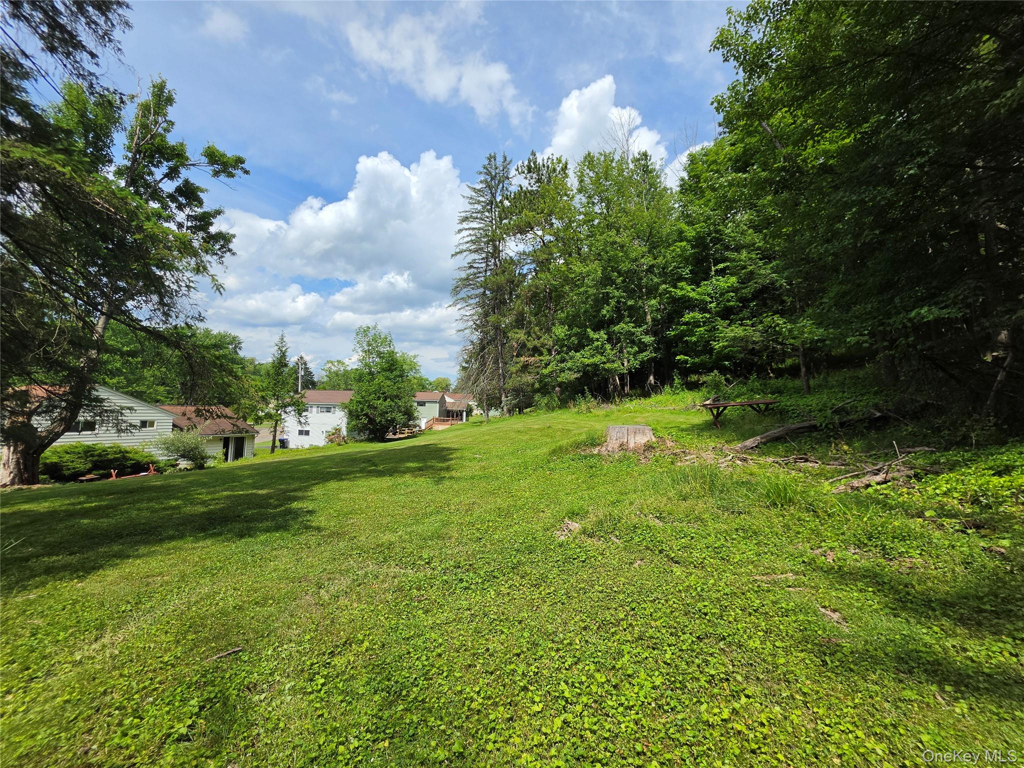 4804 Country Club Road Vestal, NY 13850 - Photo 15 of 15 a backyard of a house with lots of green space