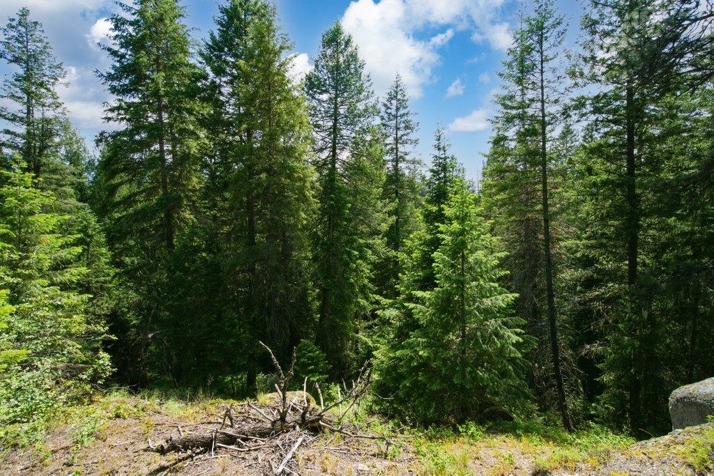 1301 Veit Road Newport, WA 99156 - Photo 17 of 33