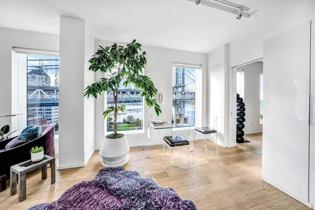 a living room with furniture and a potted plant