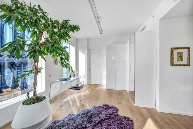 a living room with furniture and a potted plant