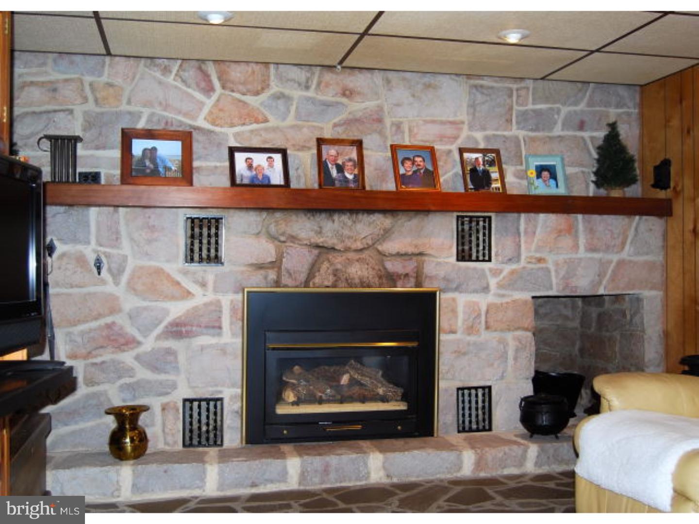 545 Gibraltar Road Reading, PA 19606 - Photo 17 of 21 Fireplace