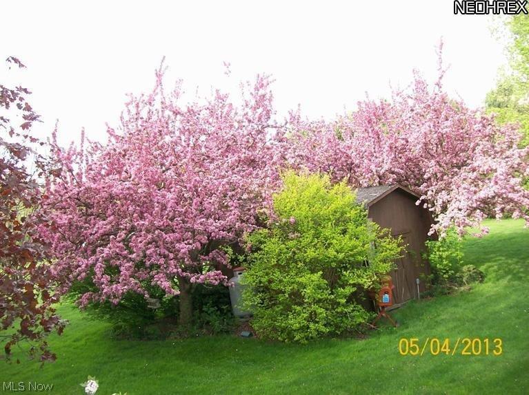 4142 Fohl Street Southwest Canton, OH 44706 - Photo 7 of 21