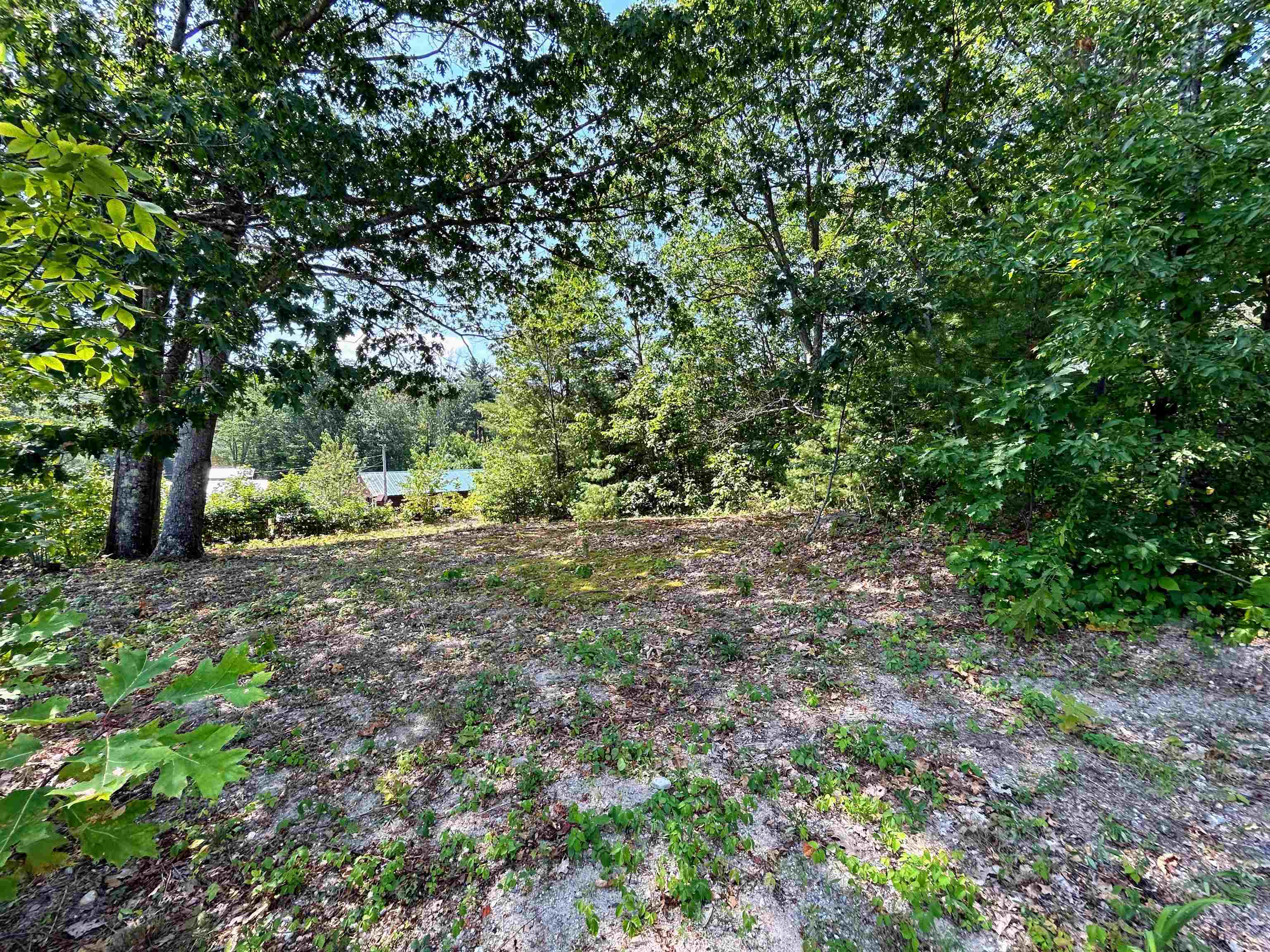 149 Bear Hill Road Henniker, NH 03242 - Photo 24 of 26