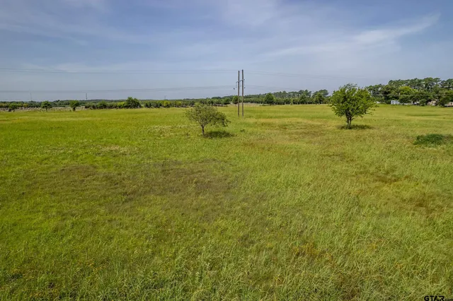 $134,900 | Lot 1 Vz County Road 1516, Van, TX 75790