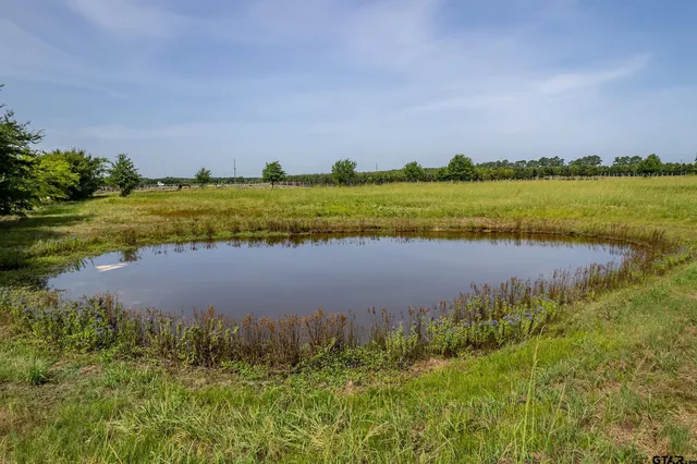 a view of a lake with a city