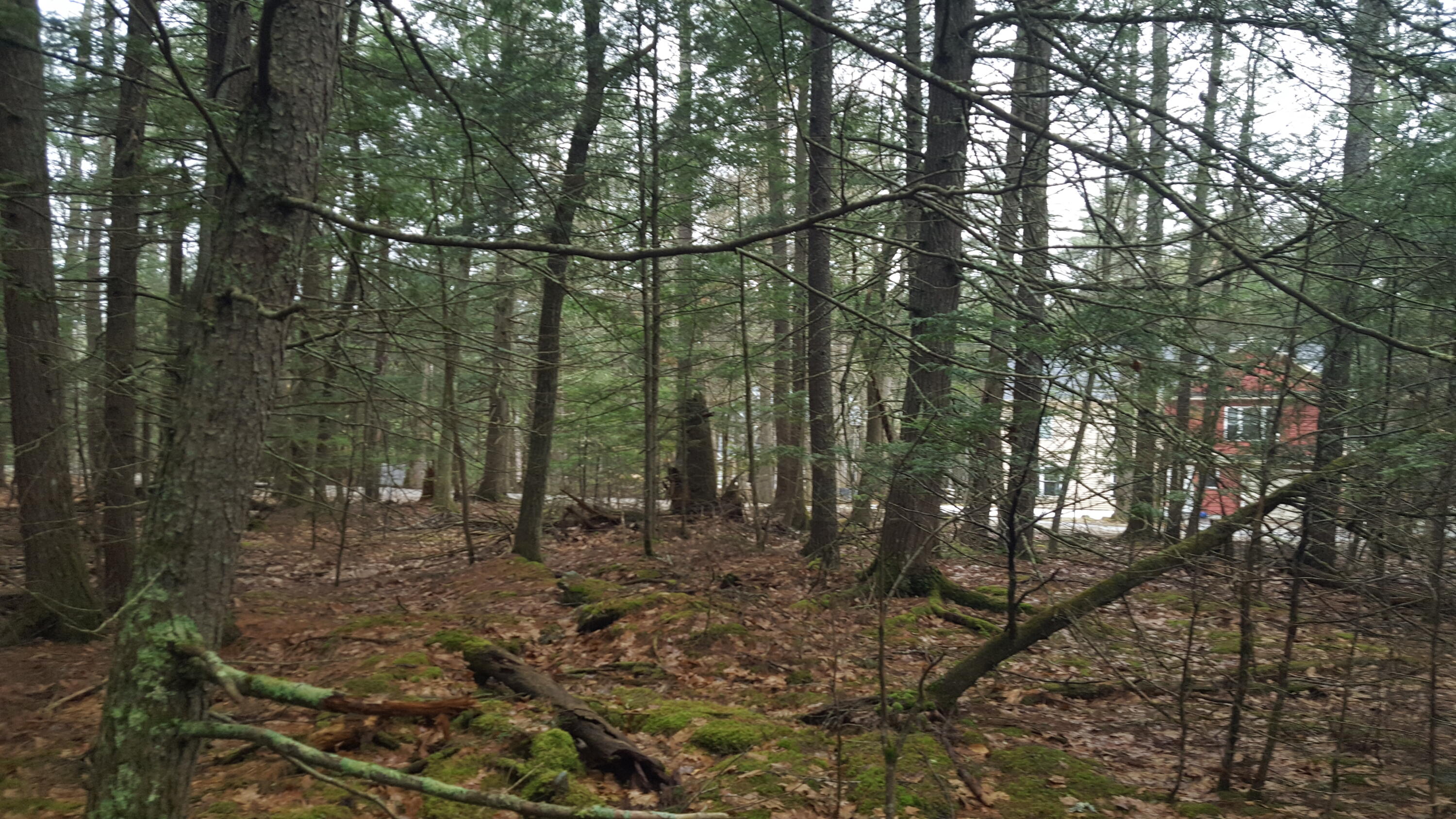 53 Johnson Road Windham, ME 04062 - Photo 15 of 25 20250320_115039