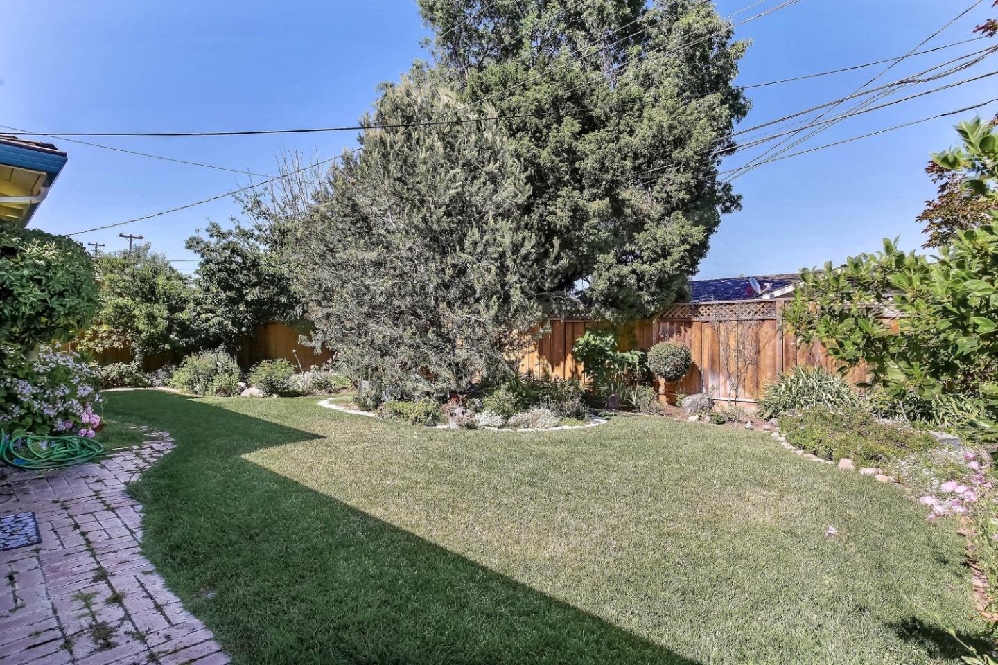 3666 Kirk Road San Jose, CA 95124 - Photo 11 of 13 a view of a backyard with plants and large trees