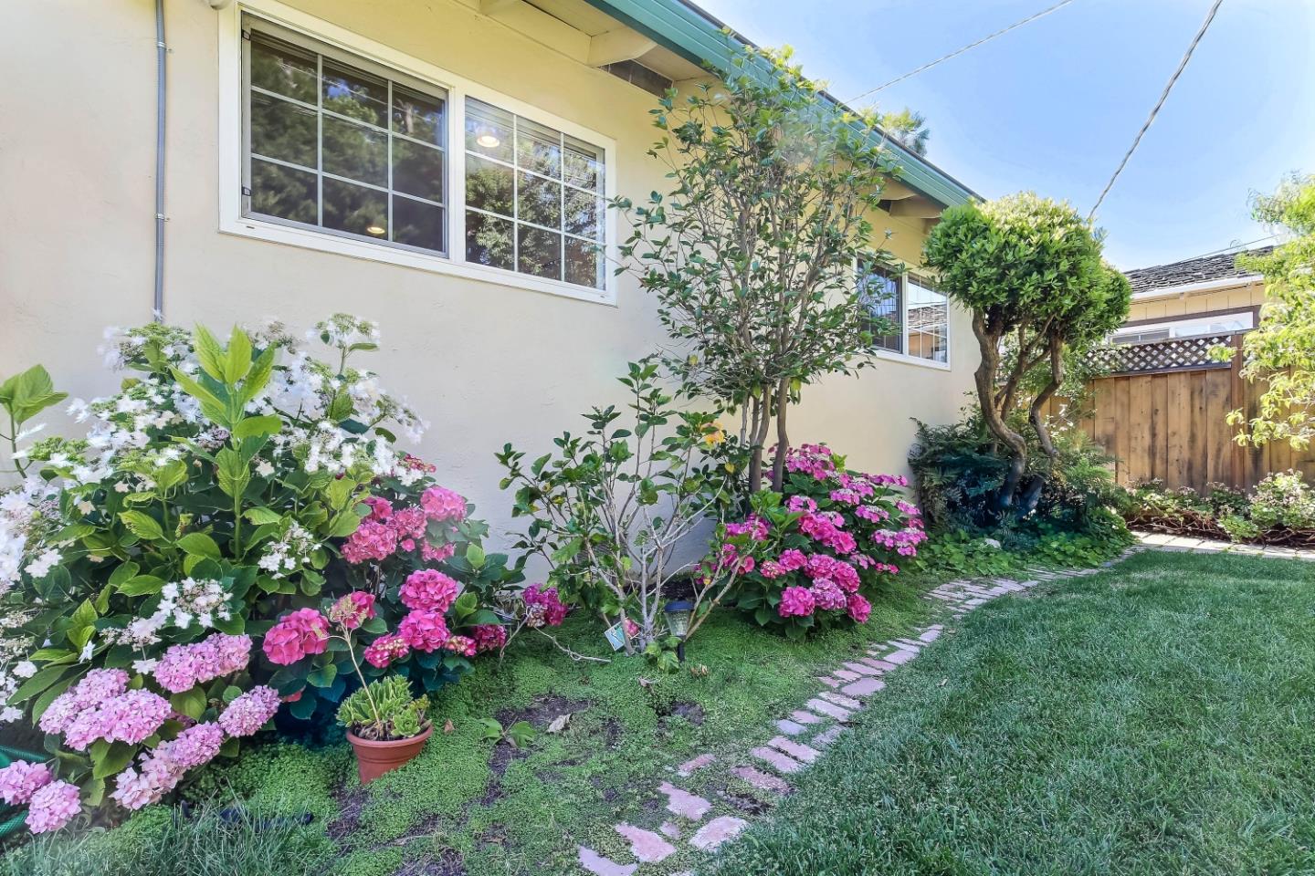 3666 Kirk Road San Jose, CA 95124 - Photo 12 of 13 a view of a flower in a yard