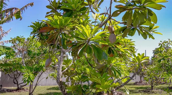 $1,249,999 | 26500 Southwest 167th Avenue, Homestead, FL 33031