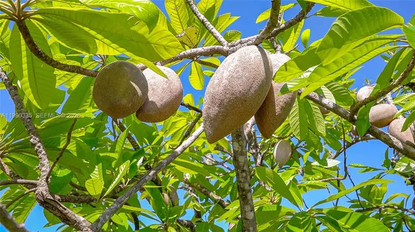 $1,249,999 | 26500 Southwest 167th Avenue, Homestead, FL 33031