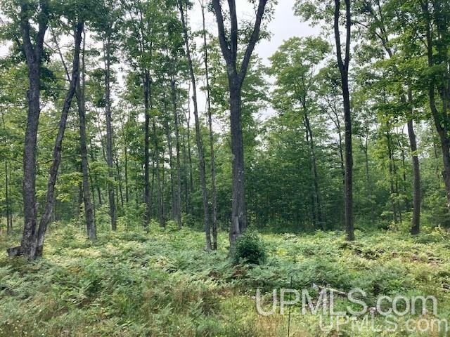 Tbd Old Mill Road Toivola, MI 49965 - Photo 7 of 25 Gallery Image 7