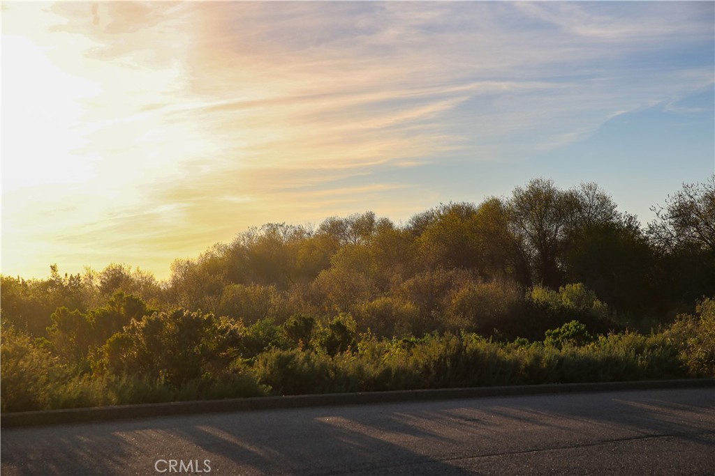 3405 South El Camino Real, Unit A San Clemente, CA 92672 - Photo 53 of 58