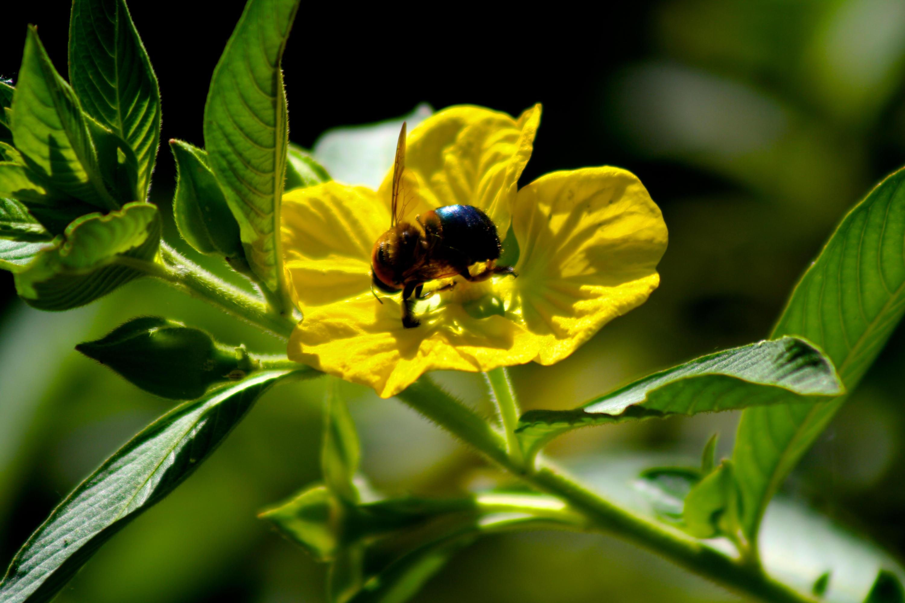 8841 First Tee Road Port St. Lucie, FL 34986 - Photo 209 of 228 188 Flower At Pinelands Preserve