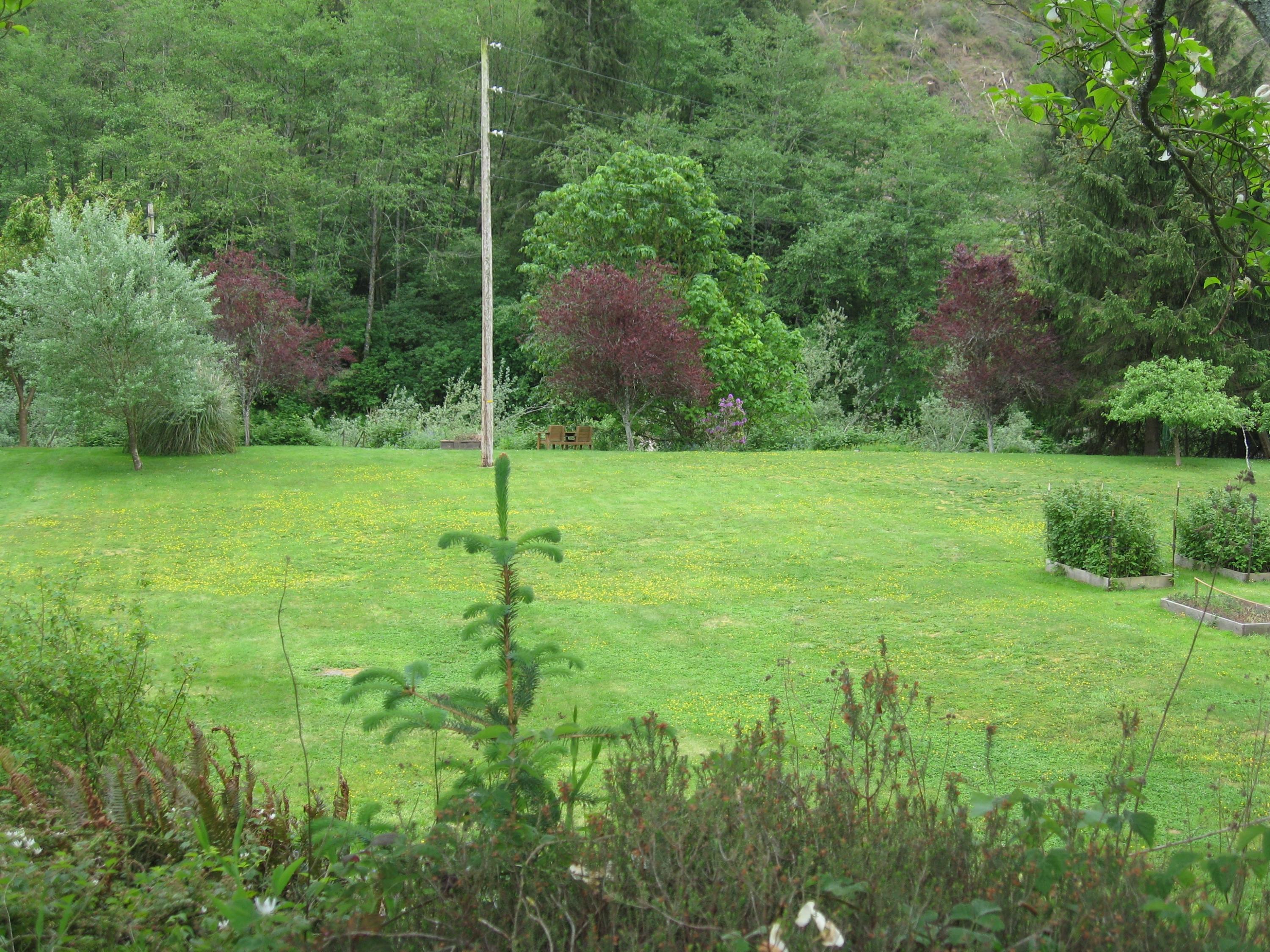 13435 Trask River Road Tillamook, OR 97141 - Photo 26 of 49 IMG_1738