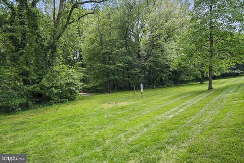 a view of a green field with lots of bushes