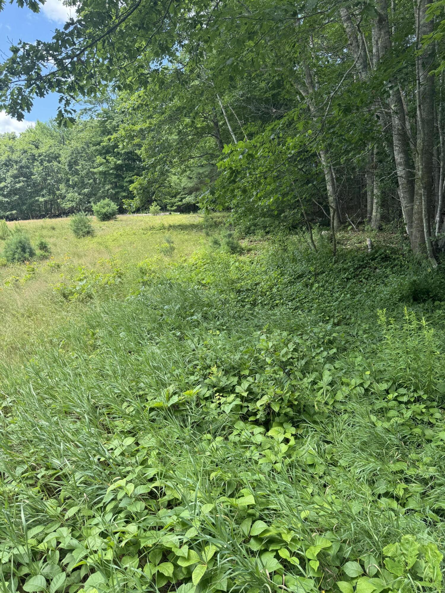 743 Wottons Mill Road Union, ME 04862 - Photo 2 of 2 Part of 743 Wottons Mill Road, Union