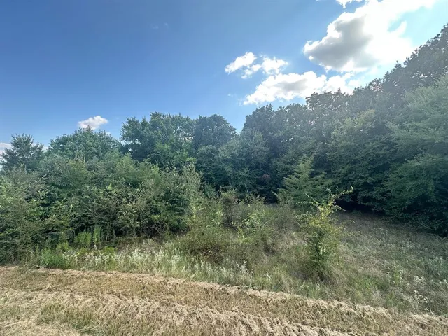 a view of a yard with a trees in the background