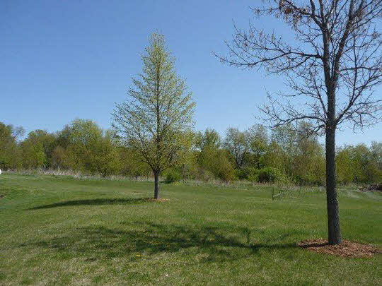 11311 Bailey Road Pecatonica, IL 61063 - Photo 2 of 11 a view of a grassy field with trees