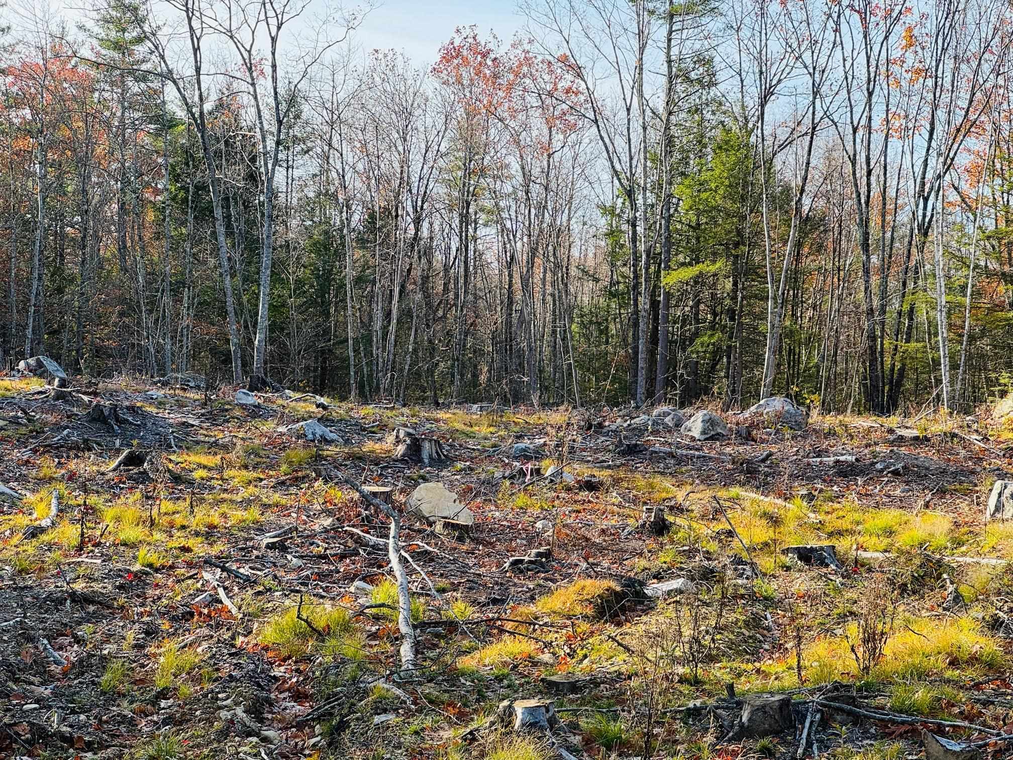 Lot 70 Homestead Lane Barrington, NH 03825 - Photo 2 of 9