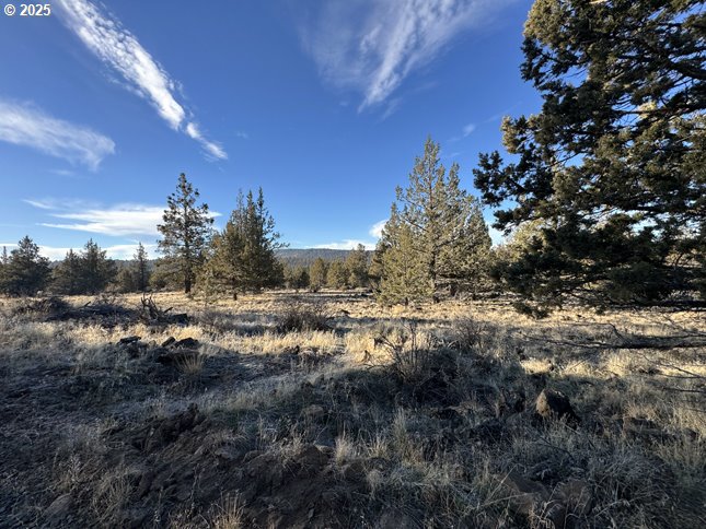 Canvasback Drive, Unit 5 Bonanza, OR 97623 - Photo 7 of 35