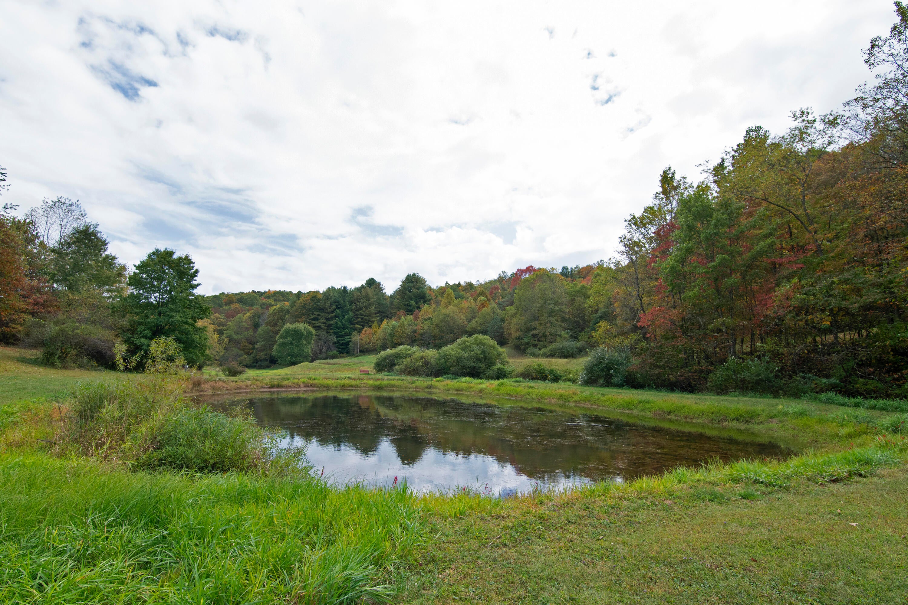 7394 Crag Road Rainelle, WV 25962 - Photo 9 of 41 lovely pond