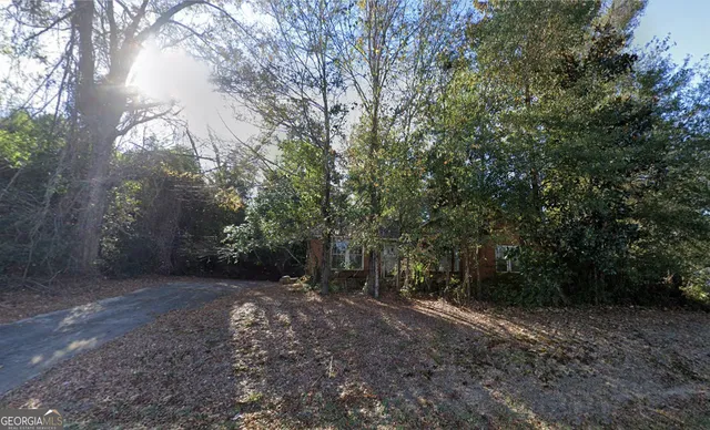 a view of a forest with trees in the background