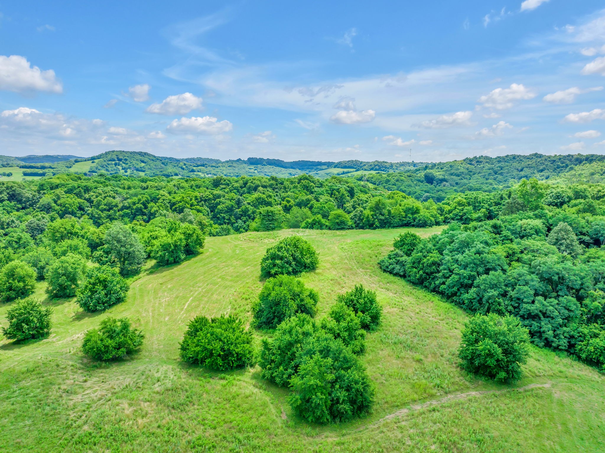 0 Yell Road Lewisburg, TN 37091 - Photo 1 of 16 Gallery Image 1