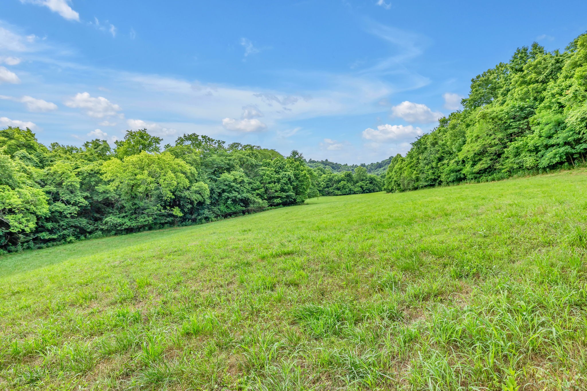 0 Yell Road Lewisburg, TN 37091 - Photo 8 of 16 Gallery Image 8