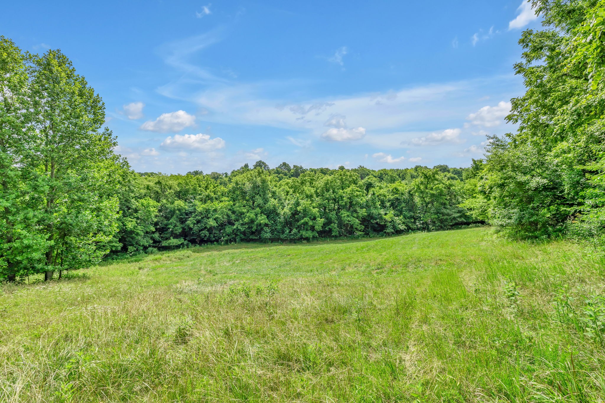 0 Yell Road Lewisburg, TN 37091 - Photo 9 of 16 Gallery Image 9