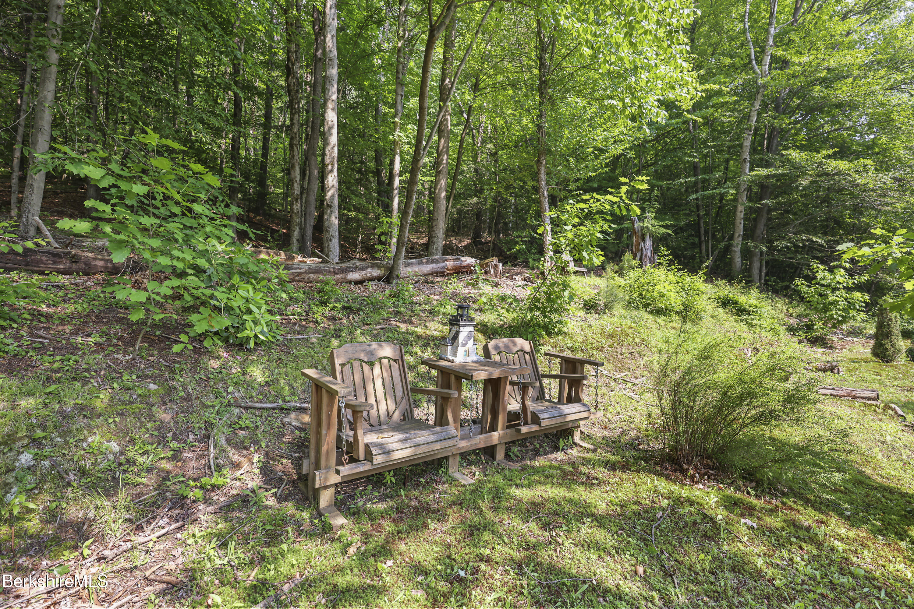 785 East New Lenox Road Pittsfield, MA 01201 - Photo 34 of 37 295 Back Yard